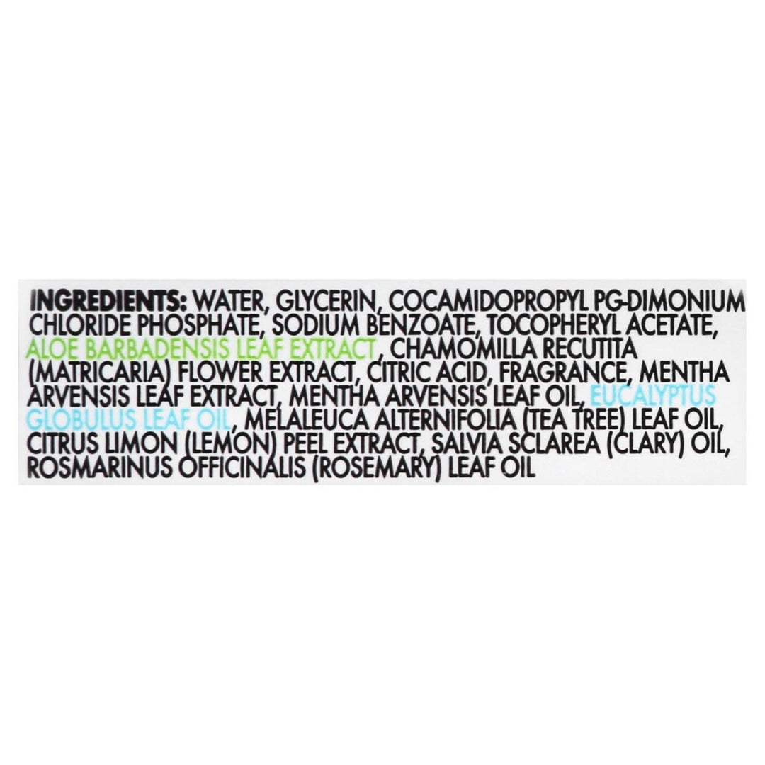 Dude Wipes - Wipes Dspnsr Pack Mint Chll - Case Of 8 - 48 Ct - Maras Green