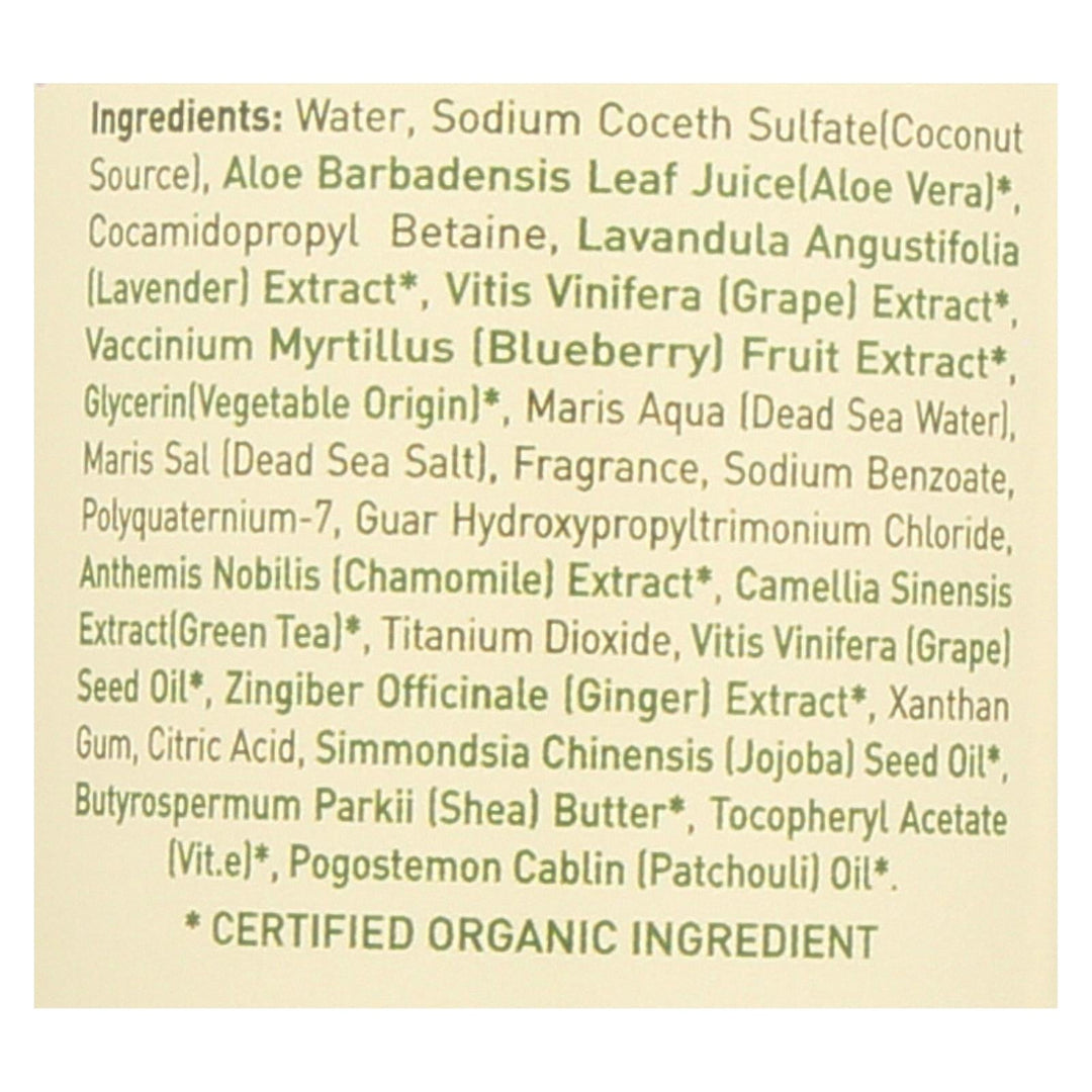 Ecolove Shampoo - Purple Fruit Shampoo For Colored And Very Dry Hair - Case Of 1 - 17.6 Fl Oz. - Maras Green