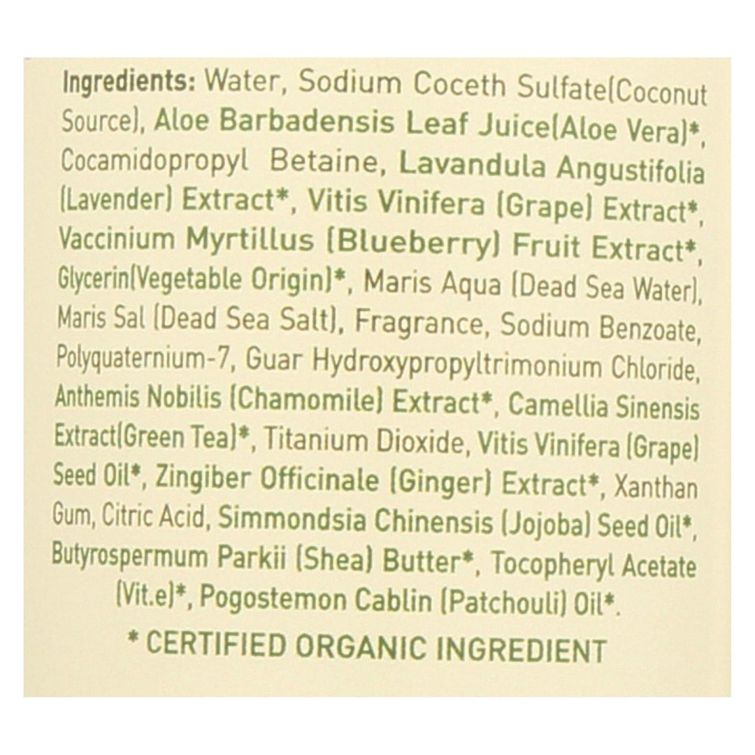 Ecolove Shampoo - Purple Fruit Shampoo For Colored And Very Dry Hair - Case Of 1 - 17.6 Fl Oz. - Maras Green