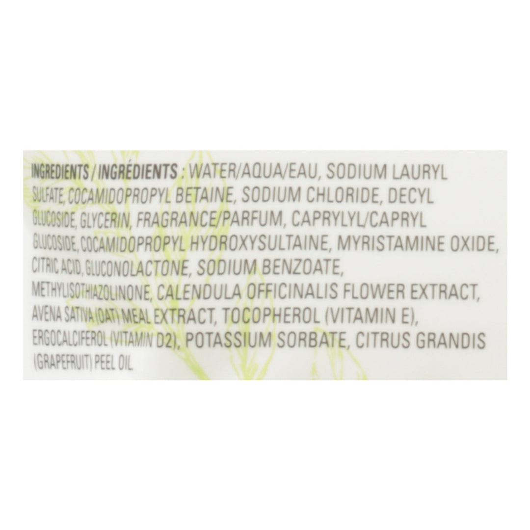 J.r. Watkins - Hand Soap Refill Aloe Green Tea - Case Of 3 - 34 Fz - Maras Green