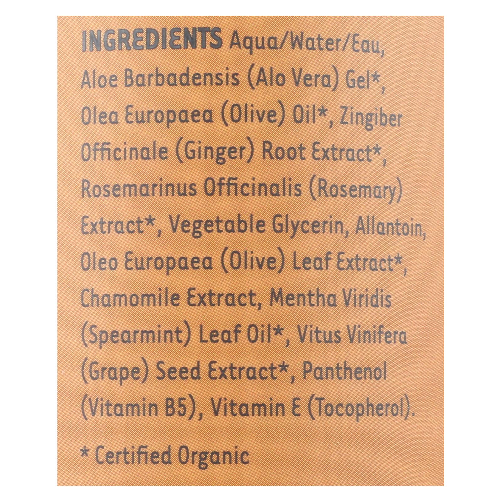 Organic Excellence Wild Mint Conditioner - 16 Oz - Maras Green