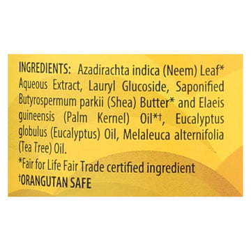 Alaffia - African Black Soap - Eucalyptus Tea Tree - 32 Fl Oz. - Maras Green