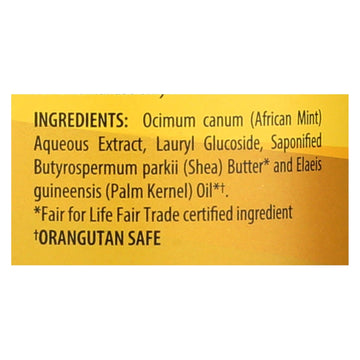 Alaffia - African Black Soap - Unscented - 32 Fl Oz. - Maras Green