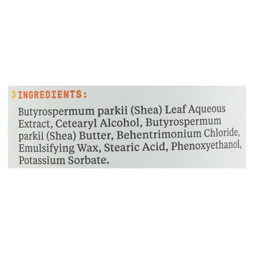 Alaffia Everyday Shea Moisturizing Unscented Conditioner - 1 Each - 32 Fz - Maras Green