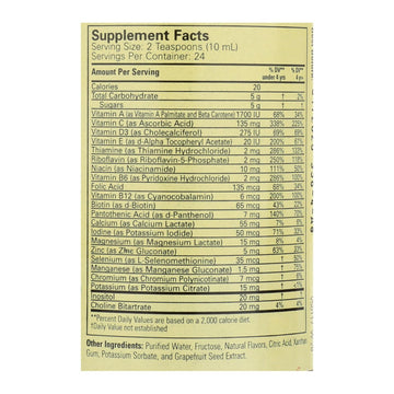 Childlife Multi Vitamin And Mineral Natural Orange Mango - 8 Fl Oz - Maras Green