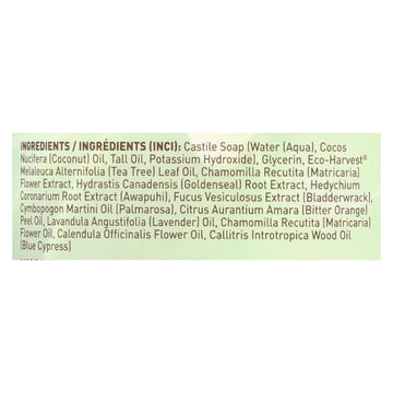 Desert Essence - Thoroughly Clean Face Wash - Original Oily And Combination Skin - 32 Fl Oz - Maras Green