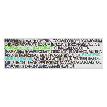 Dude Wipes - Wipes Mint Chill 3 Pack - Case Of 4 - 144 Ct - Maras Green