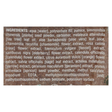 Earth Therapeutics Refreshing Foot Scrub Wild Mint - 4 Fl Oz - Maras Green