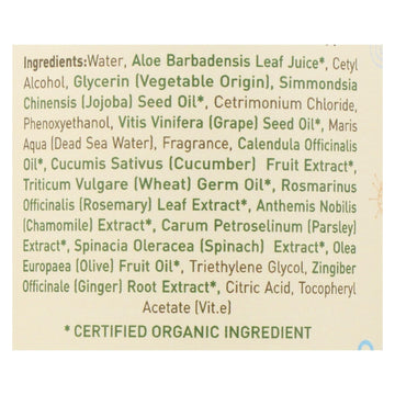 Ecolove Conditioner - Green Vegetables Family Conditioner For All Hair Types - Case Of 1 - 17.6 Fl Oz. - Maras Green