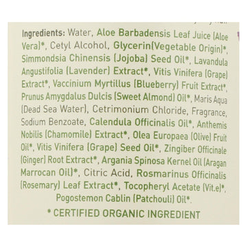 Ecolove Conditioner - Purple Fruit Conditioner For Colored And Very Dry Hair - Case Of 1 - 17.6 Fl Oz. - Maras Green