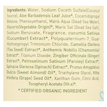 Ecolove Shampoo - Green Vegetables Family Shampoo For All Hair Types - Case Of 1 - 17.6 Fl Oz. - Maras Green