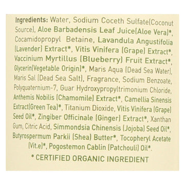 Ecolove Shampoo - Purple Fruit Shampoo For Colored And Very Dry Hair - Case Of 1 - 17.6 Fl Oz. - Maras Green