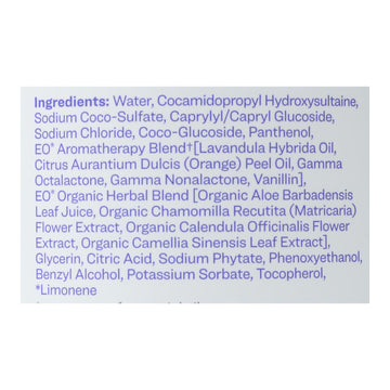 Everyone - Hand Soap Lavender Coconut Refill - 1 Each 1 - 32 Fz - Maras Green