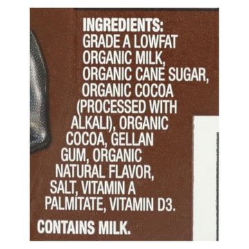 Horizon Lowfat Chocolate Milk - 1 Each - 12/8 Fz - Maras Green