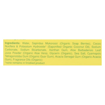 Rebel Green - Laundry Detergent Good Sport Wash - Lemon And Peppermint - Case Of 4 - 38 Fl Oz. - Maras Green